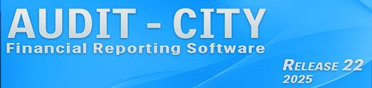 Audit City 2025